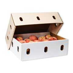 Fresh Fruit Box: Double Box