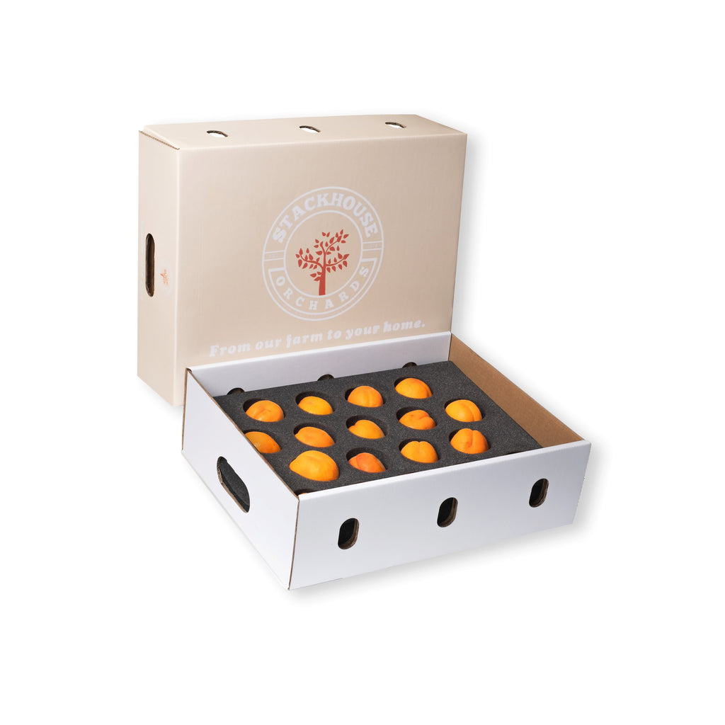 Fresh Blenheim Apricot Delivery: June 27th-June 28th